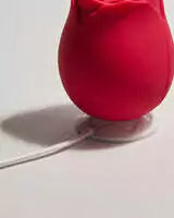 Succionador Rose